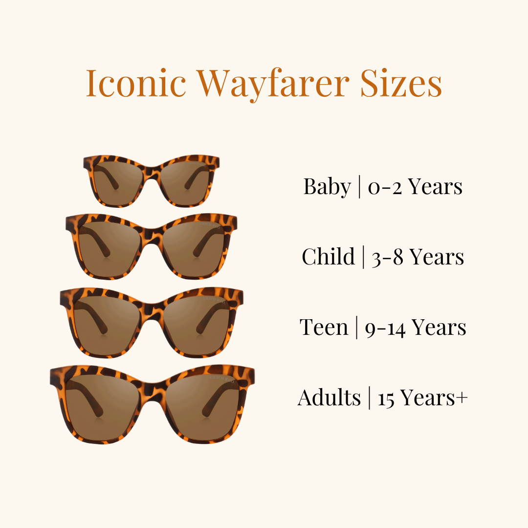 Iconic Wayfarer | Polarized Sunglasses | Tortoise
