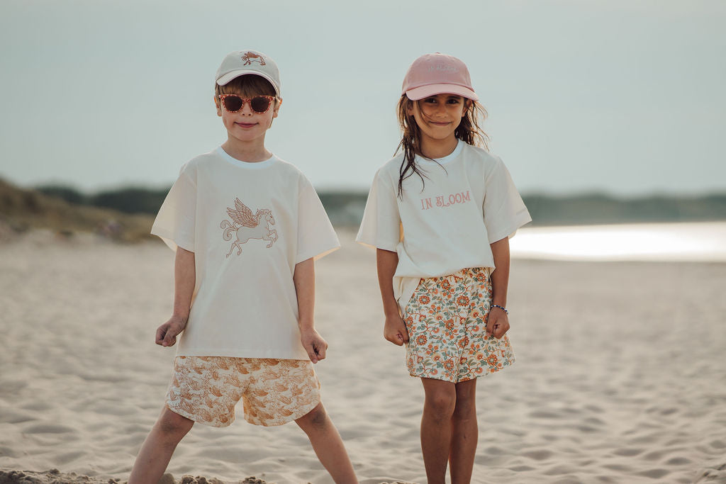 Play Shorts | Organic Cotton Terry - Pegasus