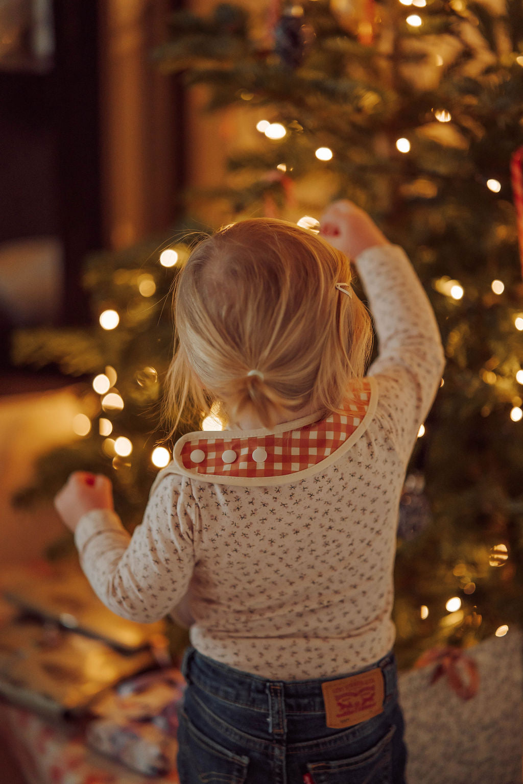 Basic Bib | Sienna Gingham