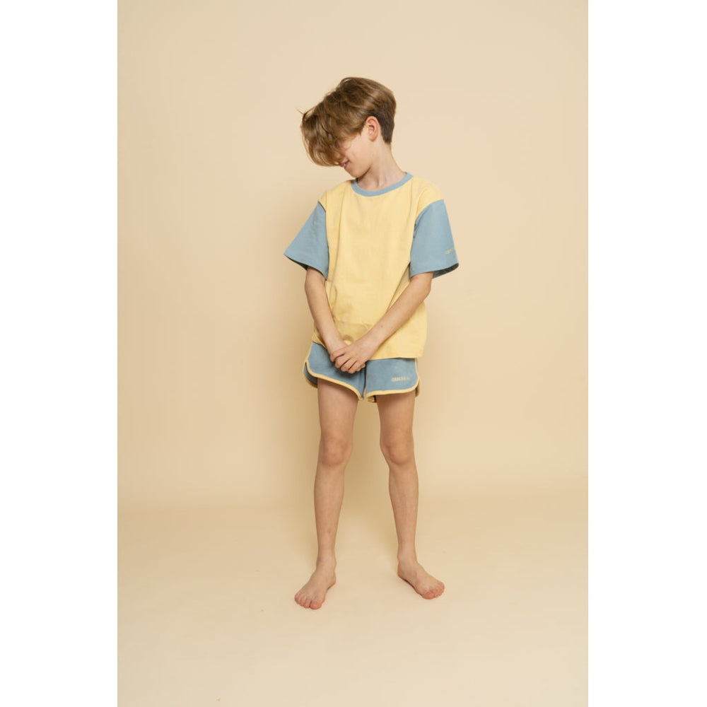 GRECH & CO. Oversized T-Shirt | GOTS Clothing Mellow Yellow, Sky Blue