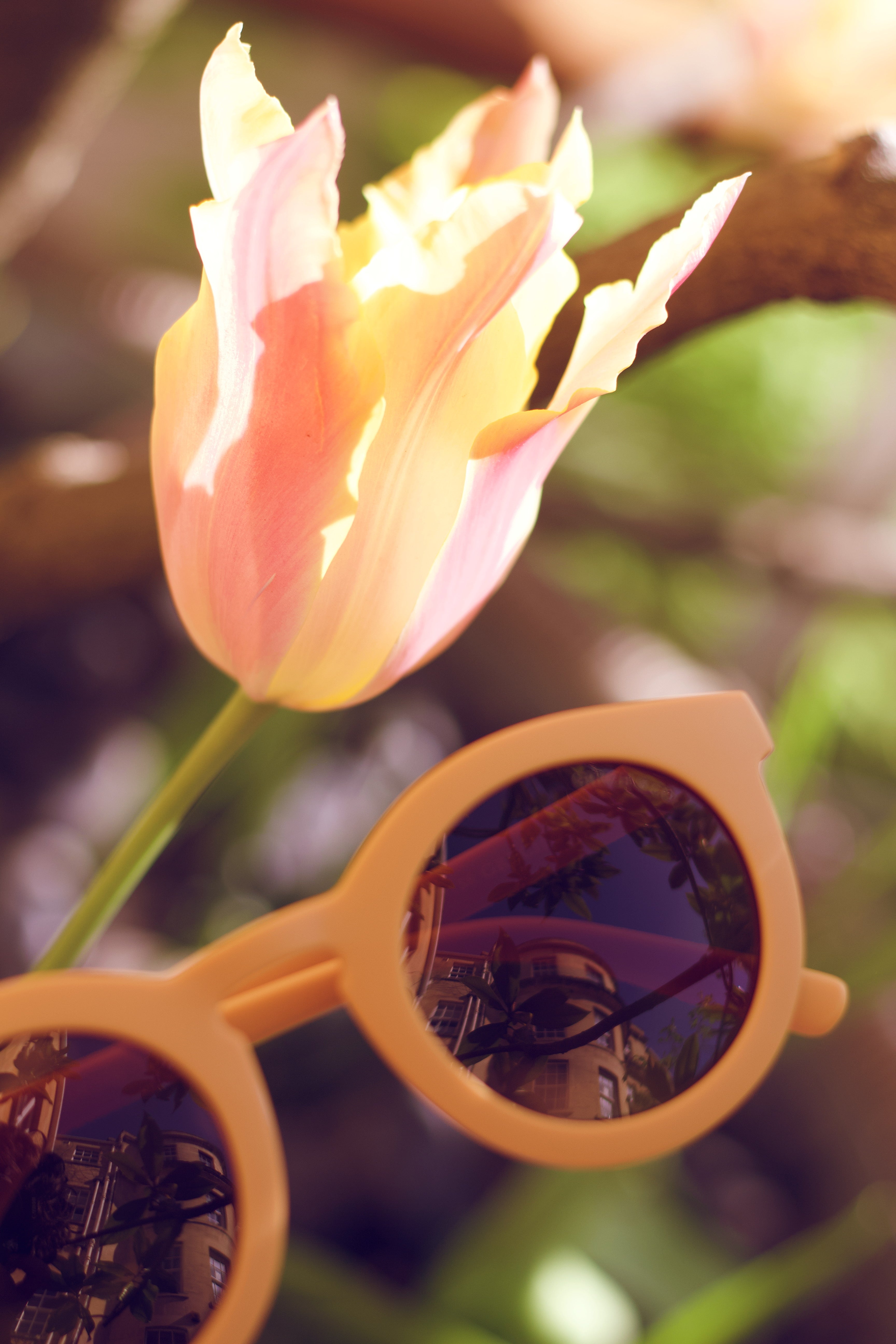 Classic | Sustainable Sunglasses | Plant-Based Bendable Polarized - Baby | 0-2 Y | Buckwheat